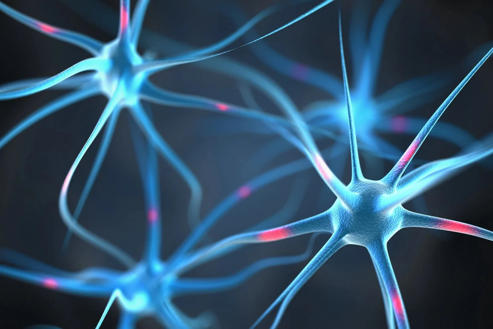 Beliefs as Operating Systems: The Power of Synergistic Mindsets