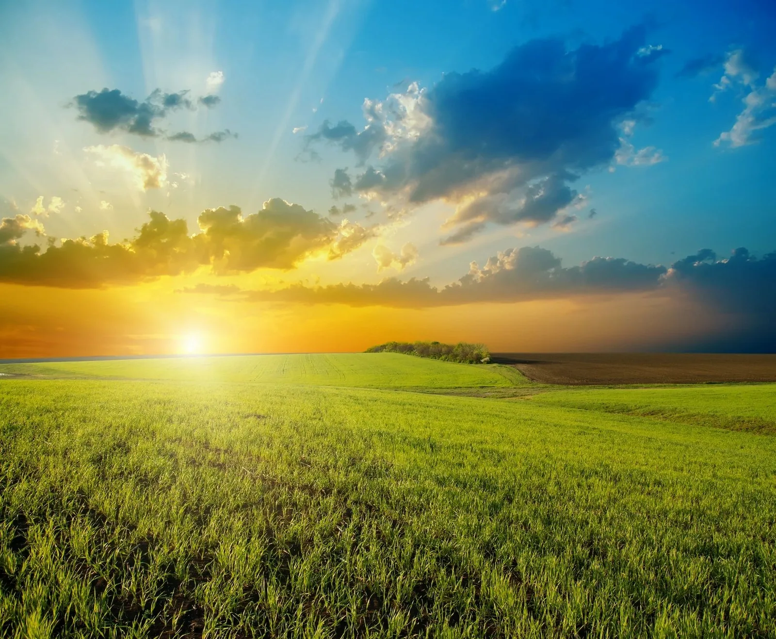 How to Improve Almost Anything in Your Life