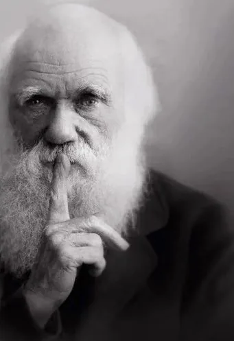 Why Does Everyone Get Darwin Wrong?