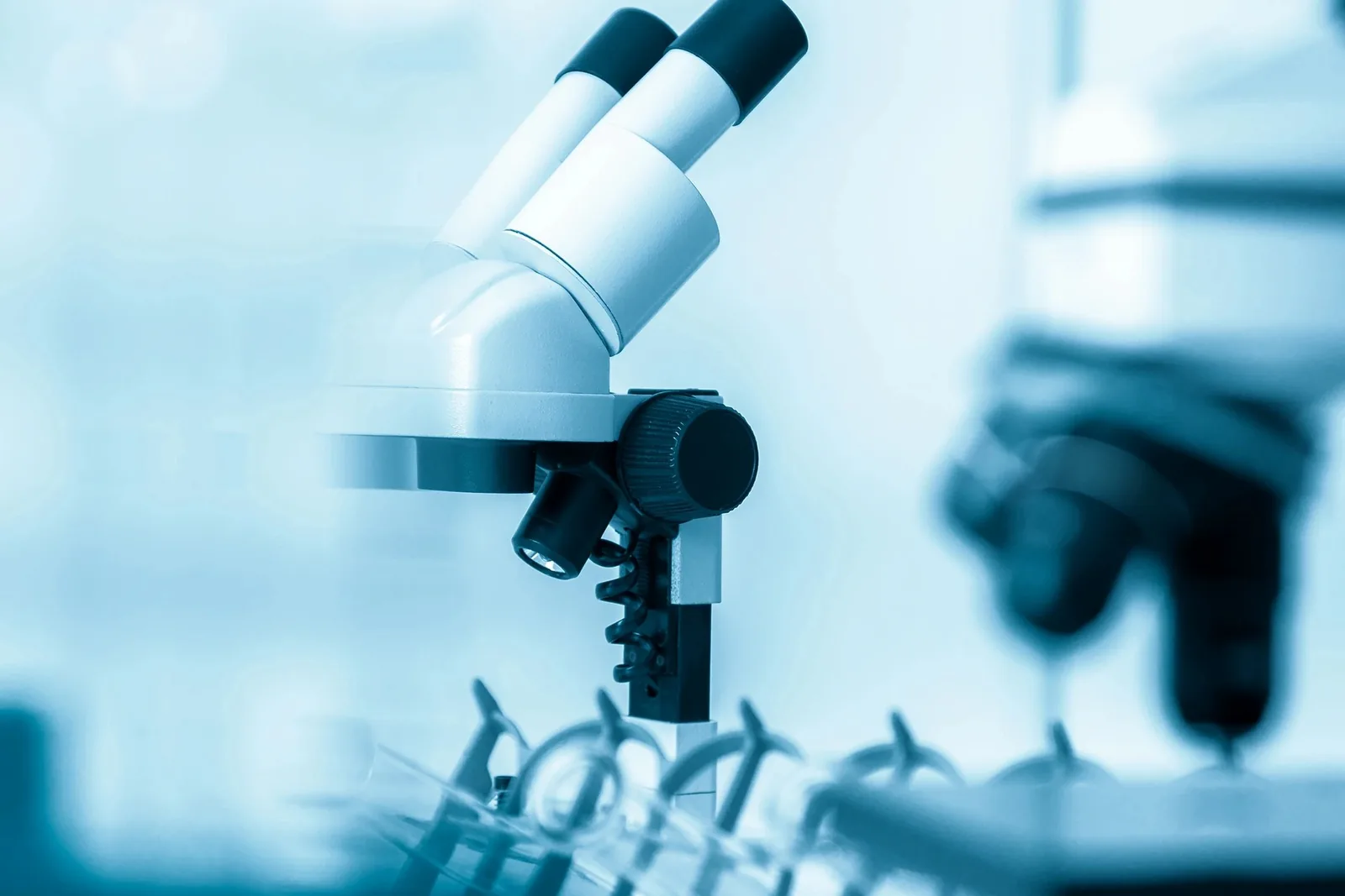 Why PT Students Need to Understand Hypothetico-Deductive Thinking