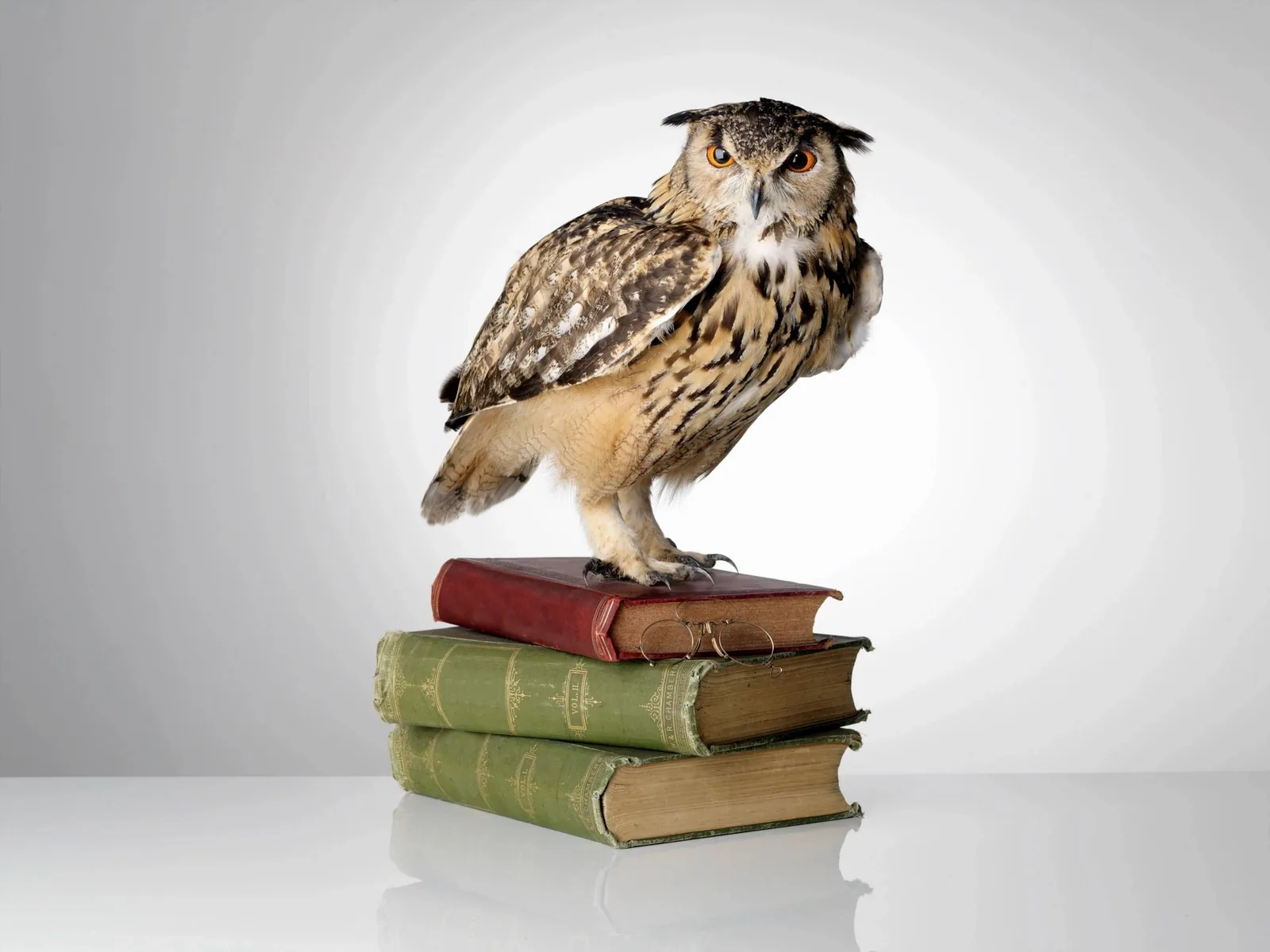 WISE Feedback: The Science of High Standards & High Support